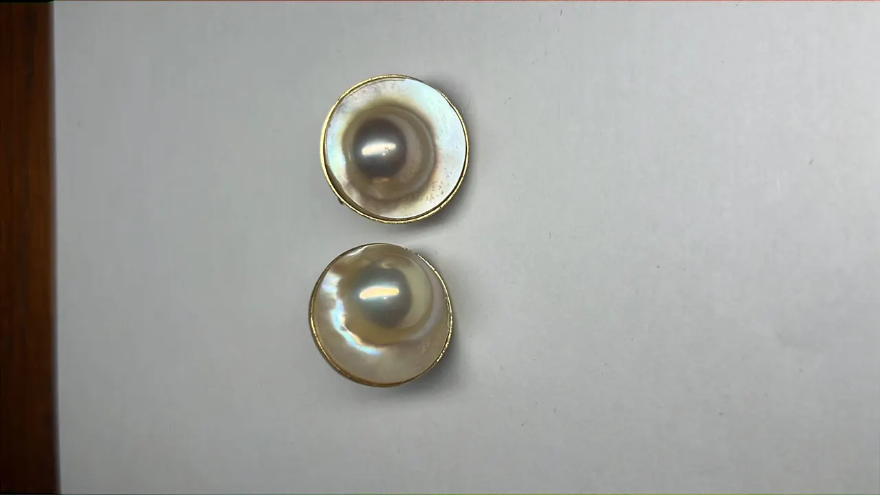 Earrings w/ 14K Band, 15 Gram