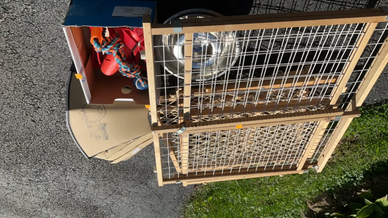 Pet Gates, Dog Toys, Dog Bowls, Dog Cone