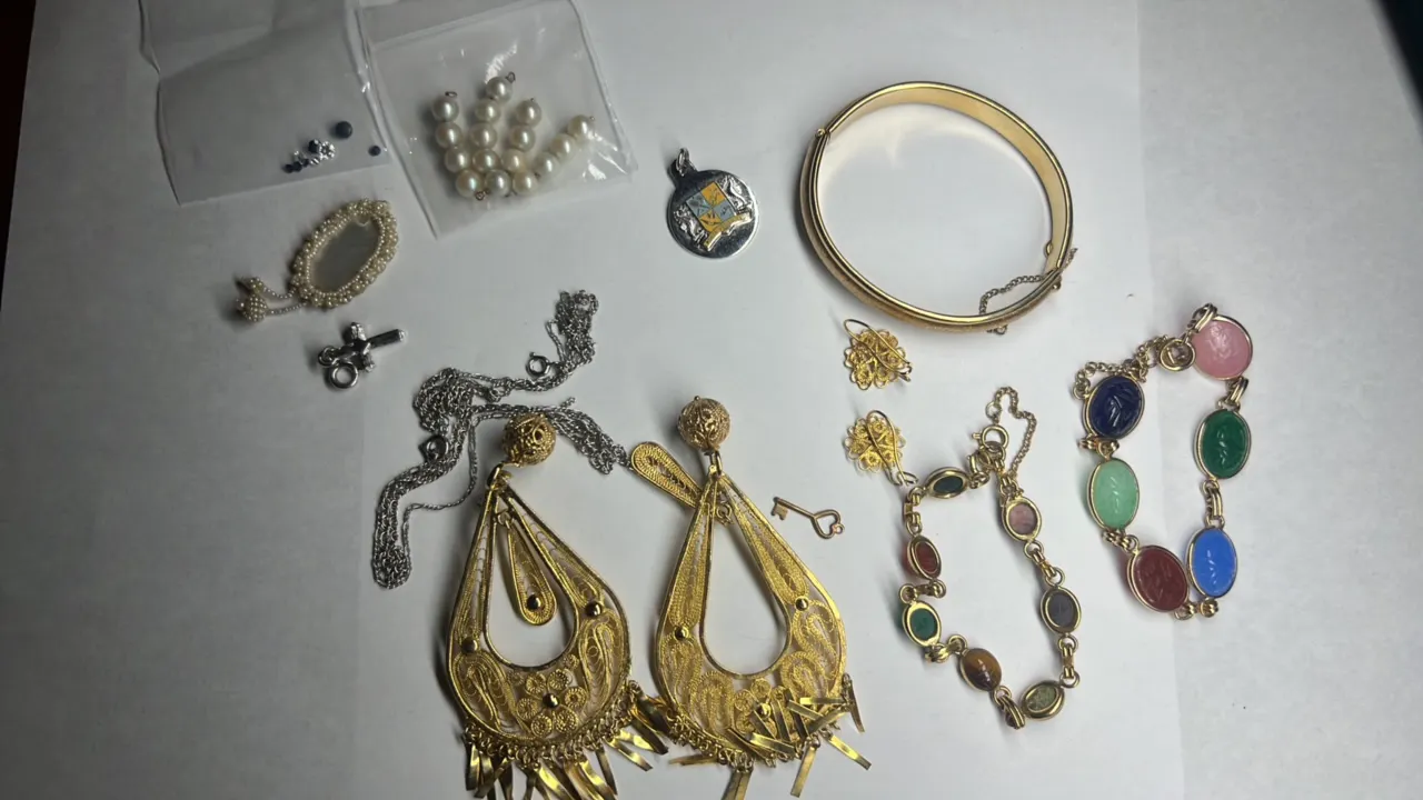 Costume Jewelry Including 2 SCARAB Bracelets