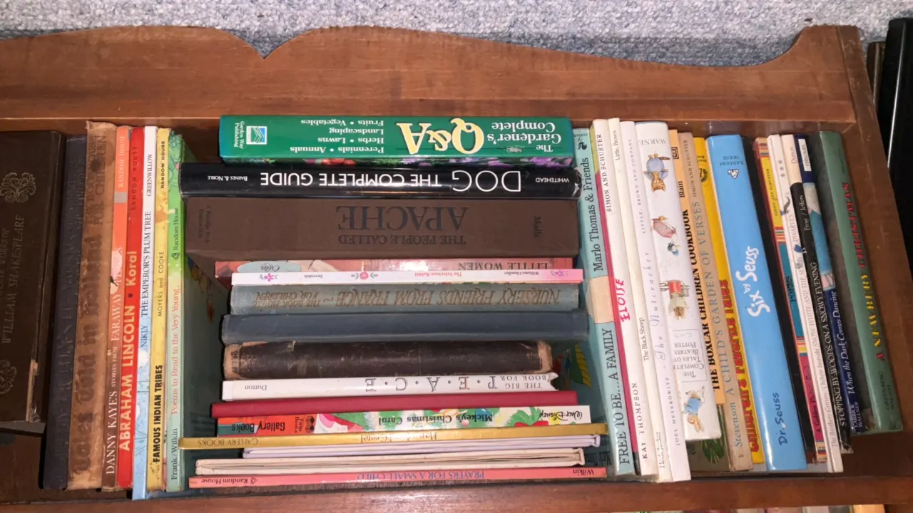 Assortment of Books