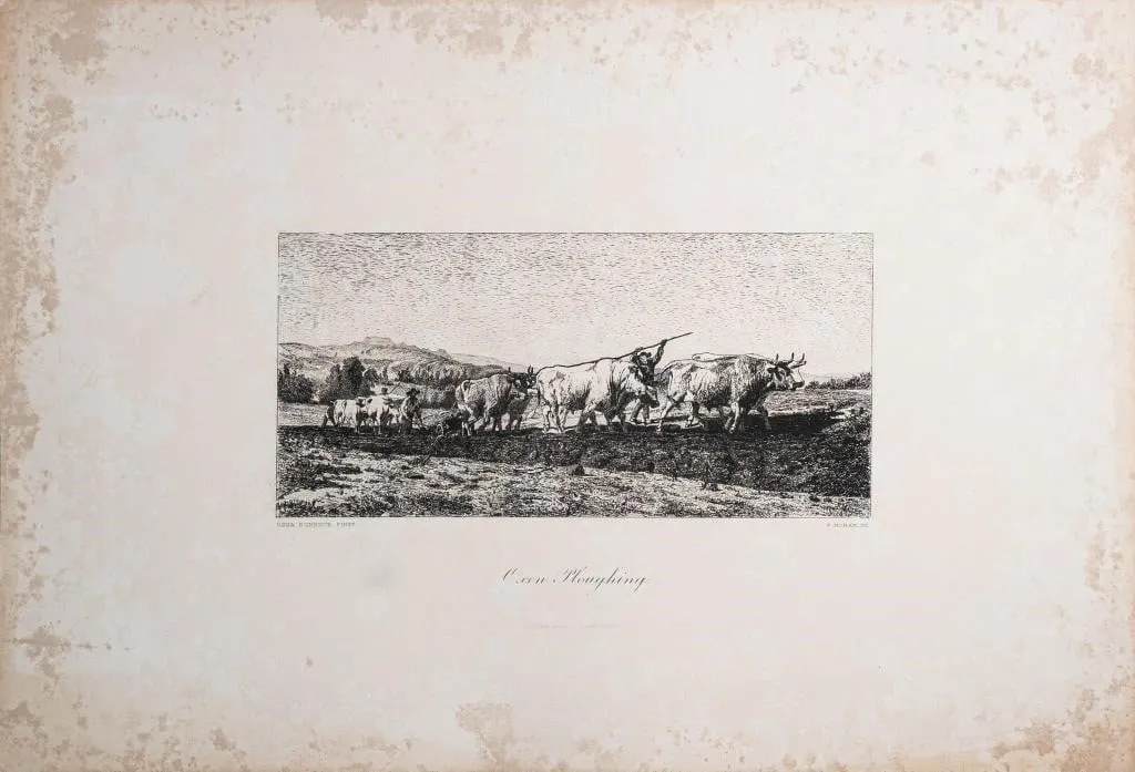 PETER MORAN AFTER ROSA BONHEUR "OXEN PLOUGHING"