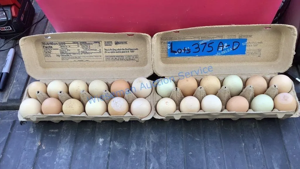 FARM EGGS - REP PHOTO