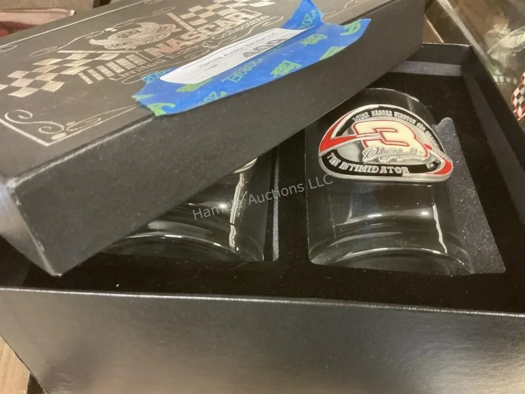 NASCAR Dale Earnhardt Glasses