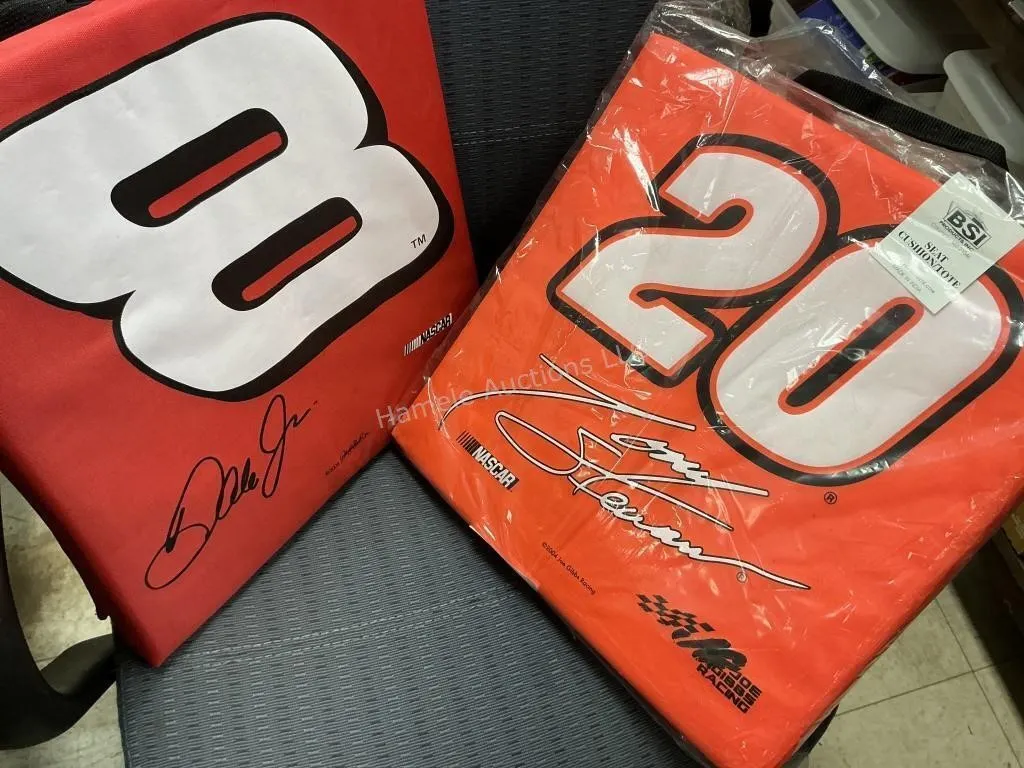 2 NASCAR Cushions