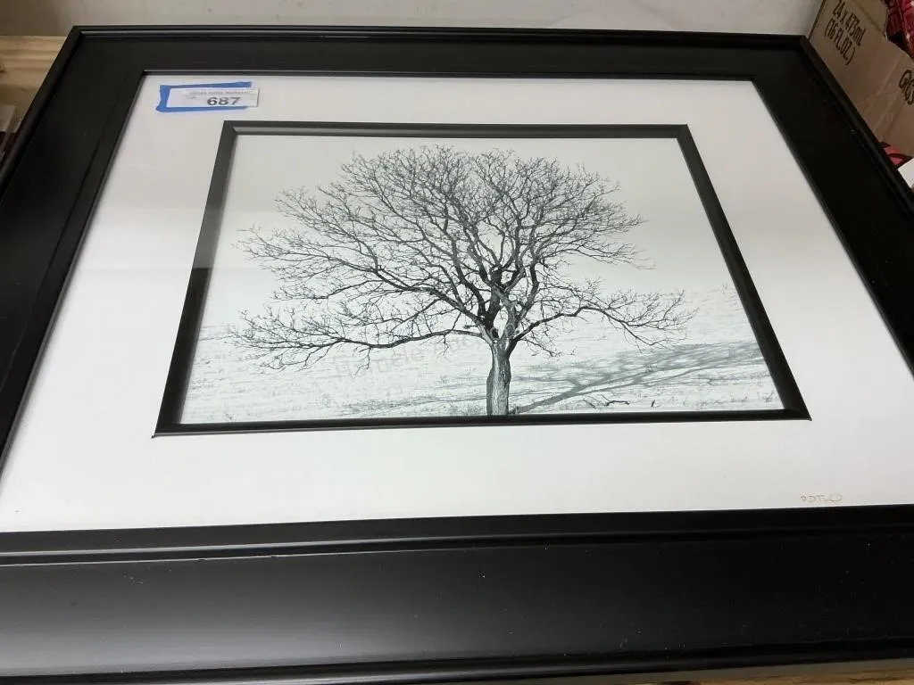 Two Framed Nature Photos
