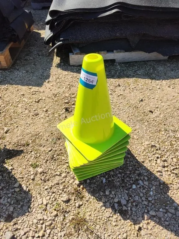 10 safety cones