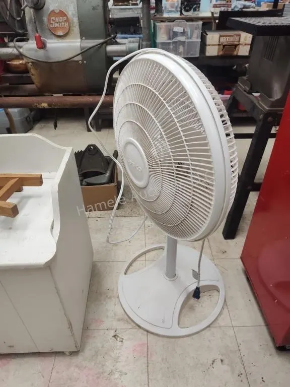 Fan