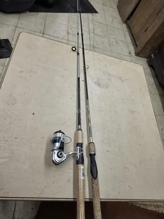2 rods and 1 reel