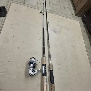 2 rods and 1 reel