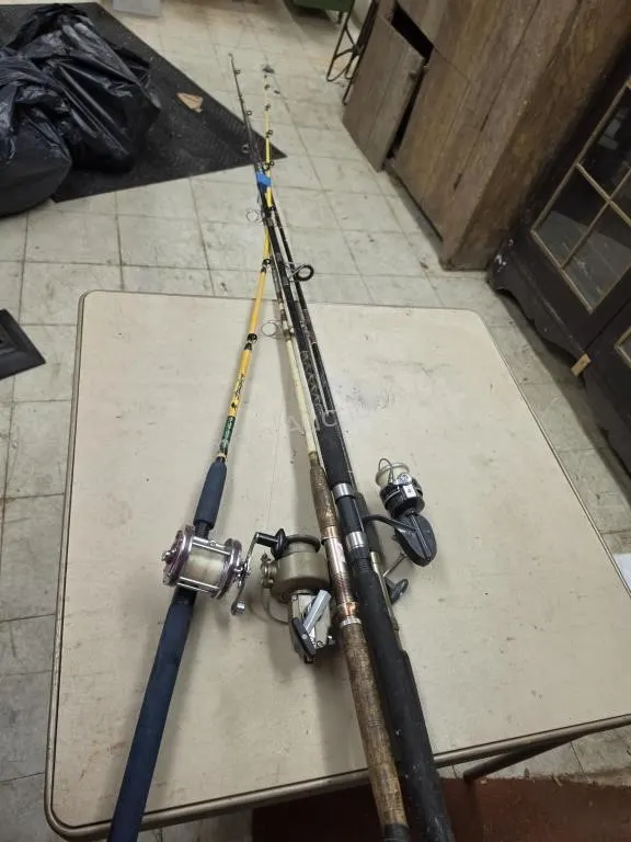 Assorted Rods and Reels