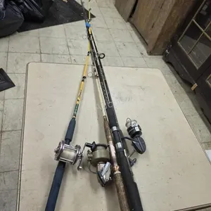 Assorted Rods and Reels