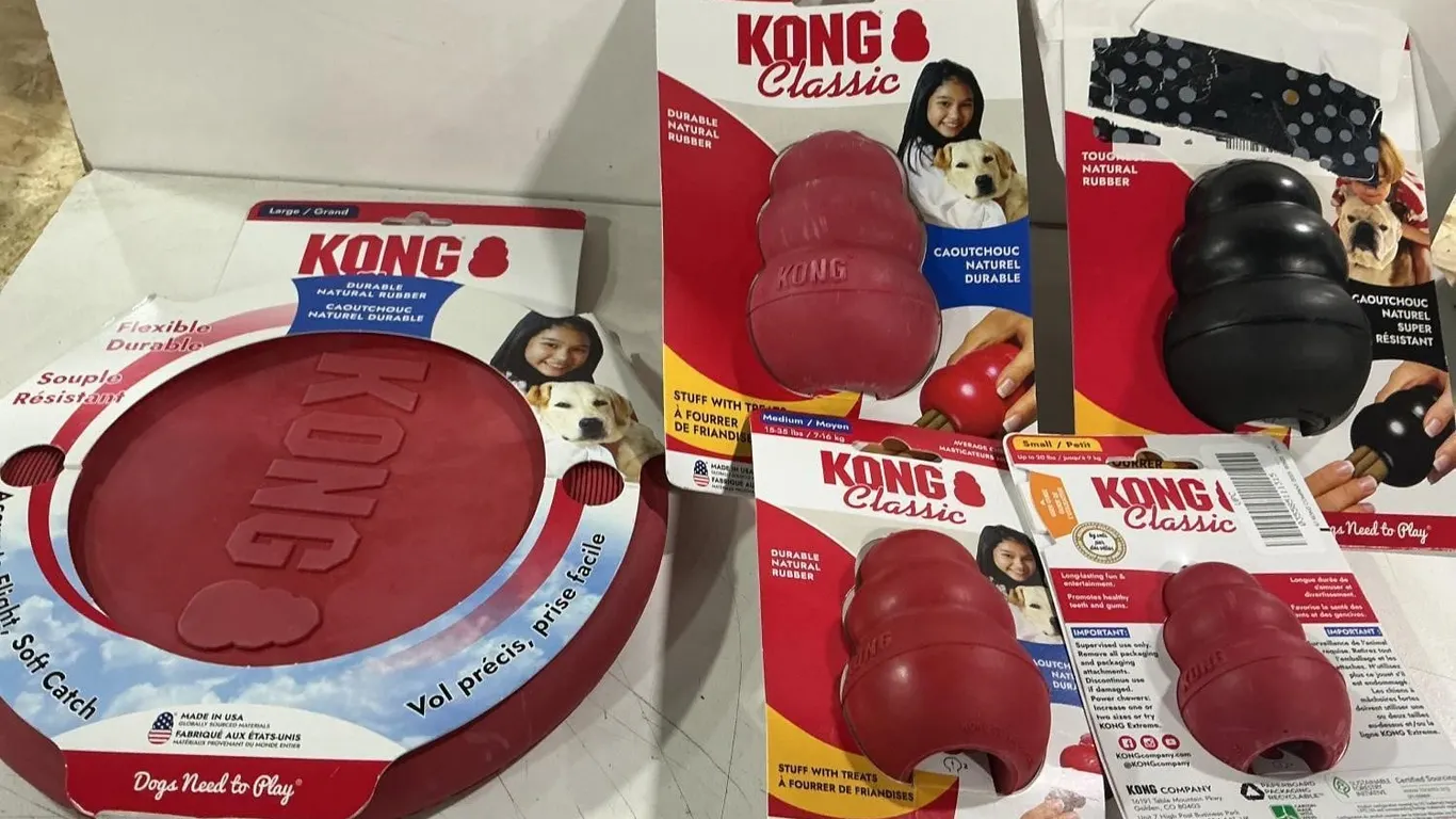 Mixed Lot Of Kong Classic and Flyer Dog Toys