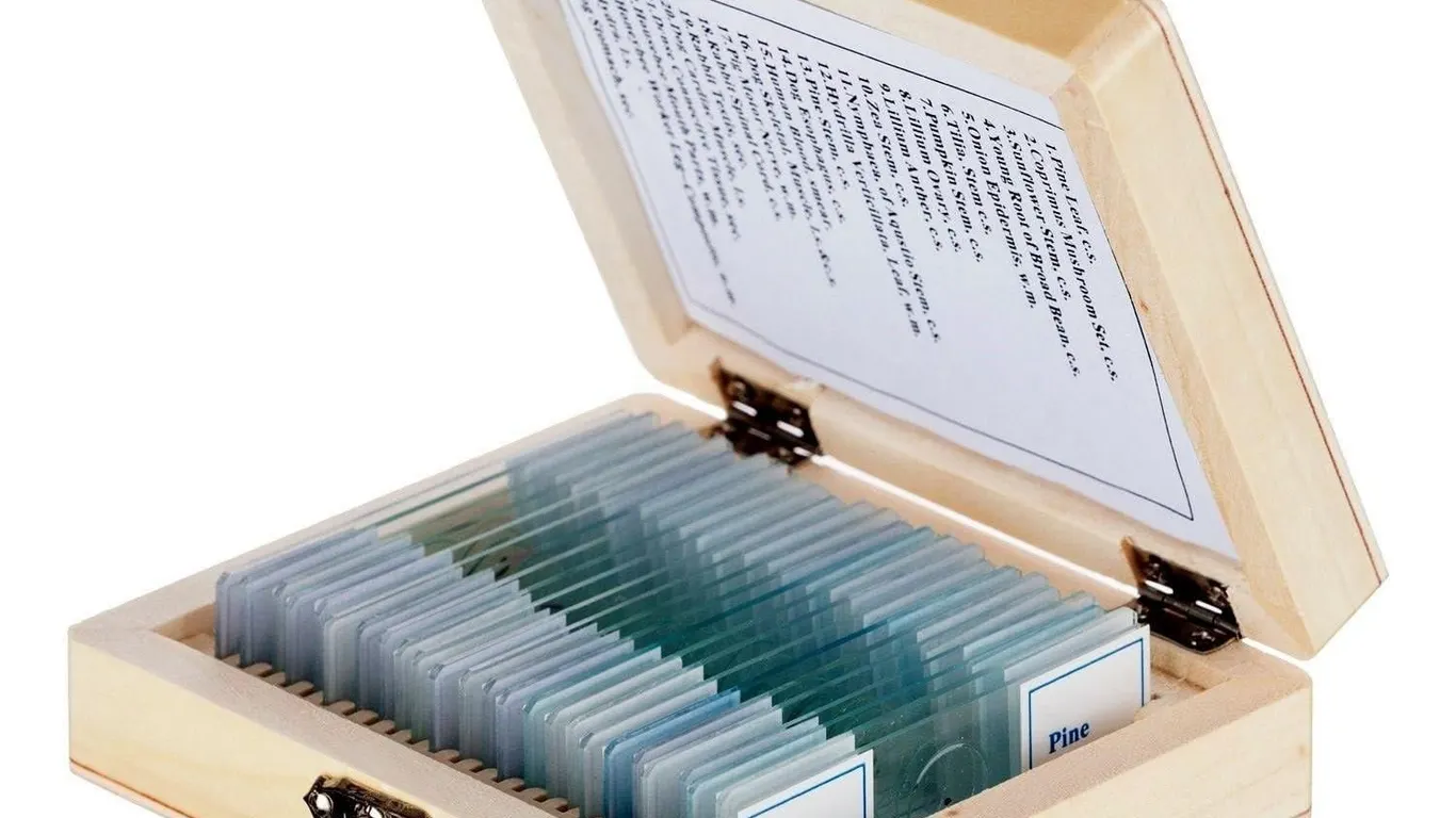 AmScope PS25 Prepared Microscope Slide Set 25ct