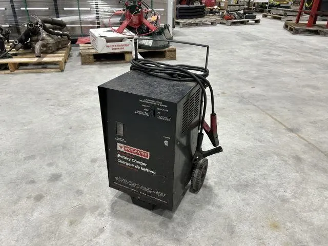 Motomaster 12 V Battery Charger