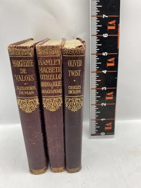 Antique Leather-Bound Classics Dumas, Shakespeare,