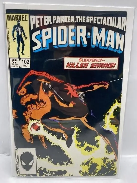 Peter Parker, The Spectacular Spider-Man 102