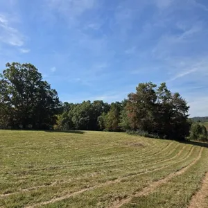 Offering #2 - +/- 37.868 Acres