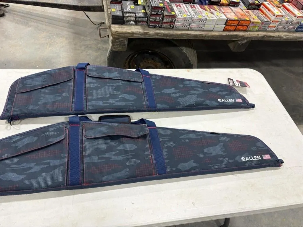 2-Allen soft cases