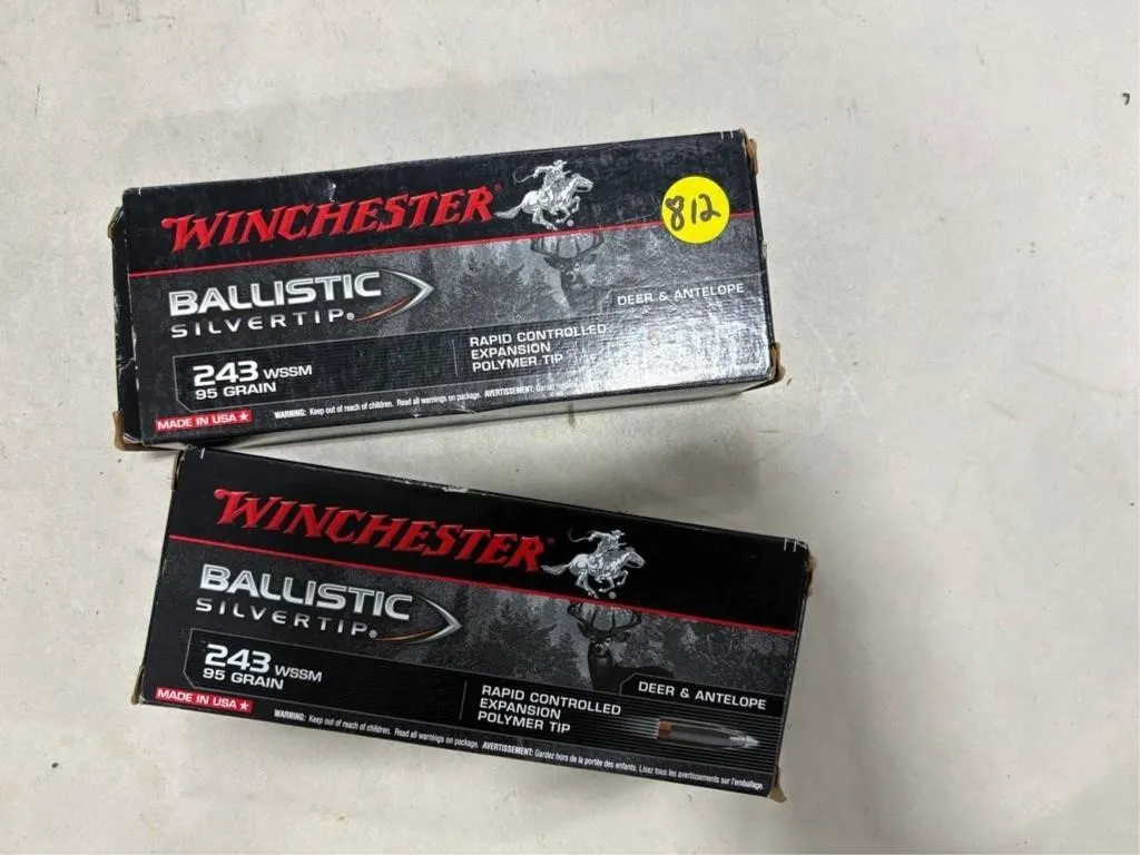 16-Rds 243 WSSM 95 Gr. Balance is Brass
