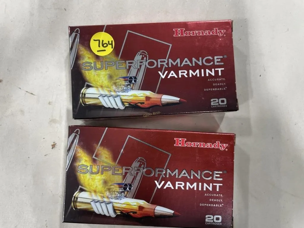 40-Rds Hornady 243 WIN- 58 grain