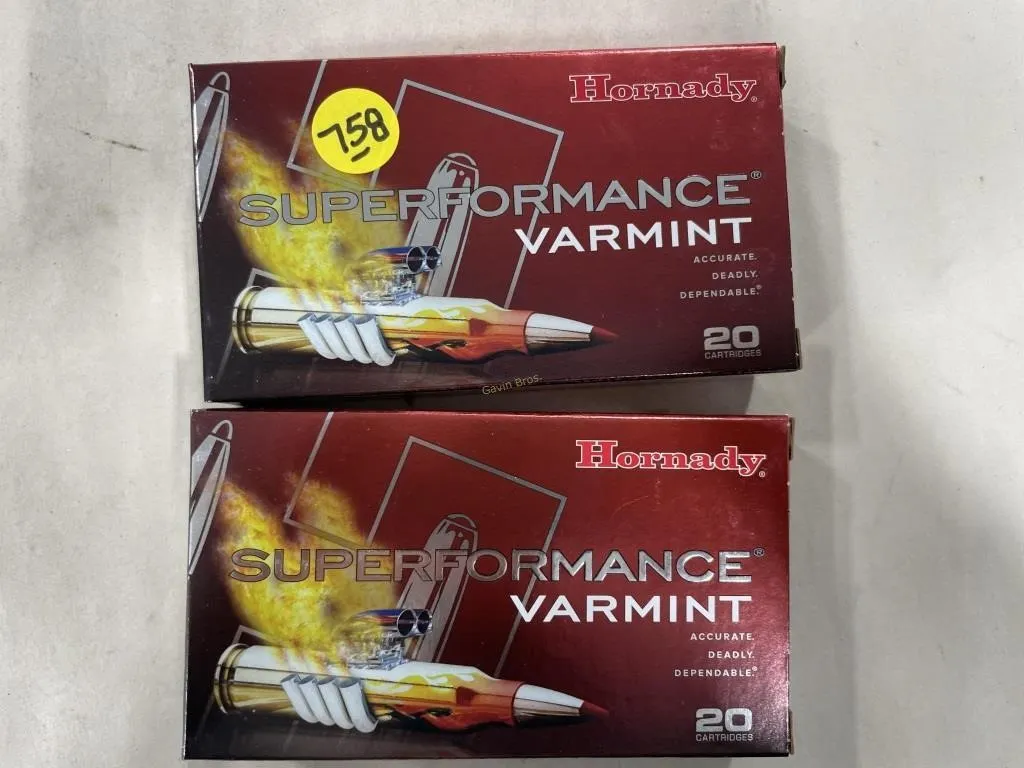 40-Rds Hornady 243 WIN- 58 grain