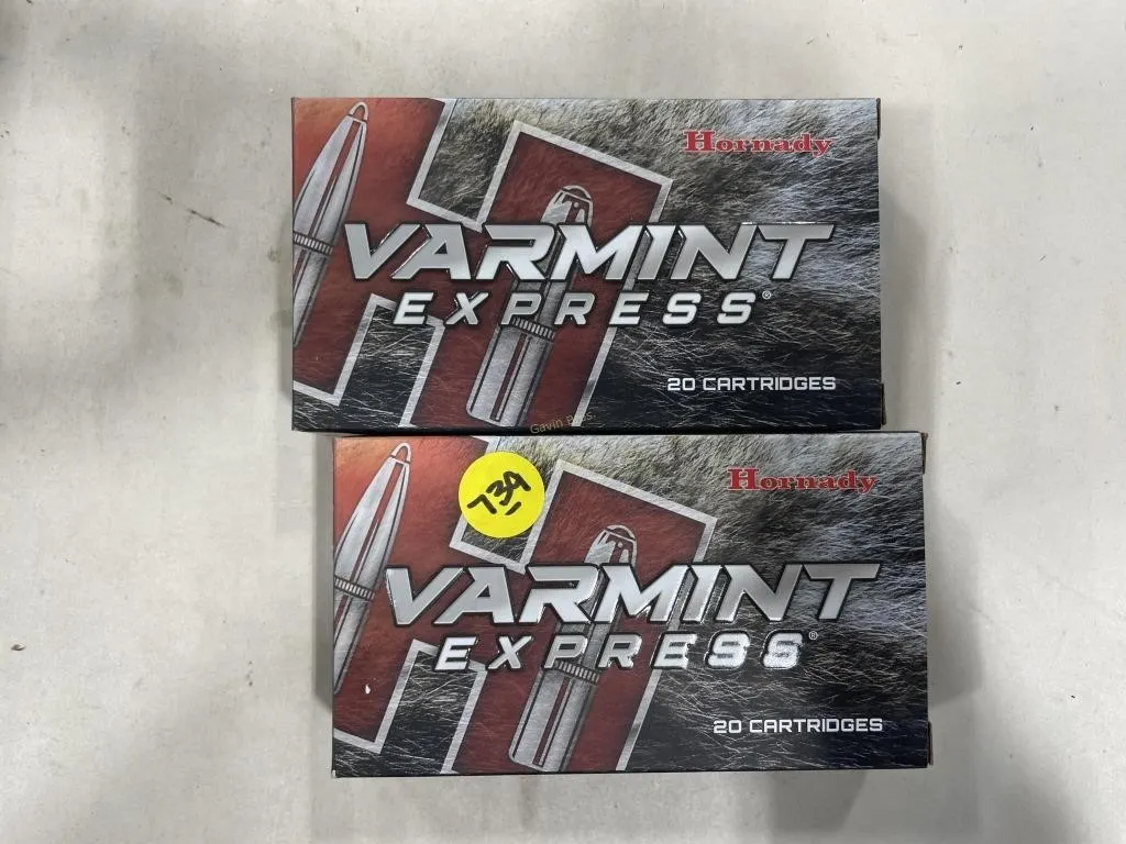 40-Rds Hornady 22-250 REM 50 Grain