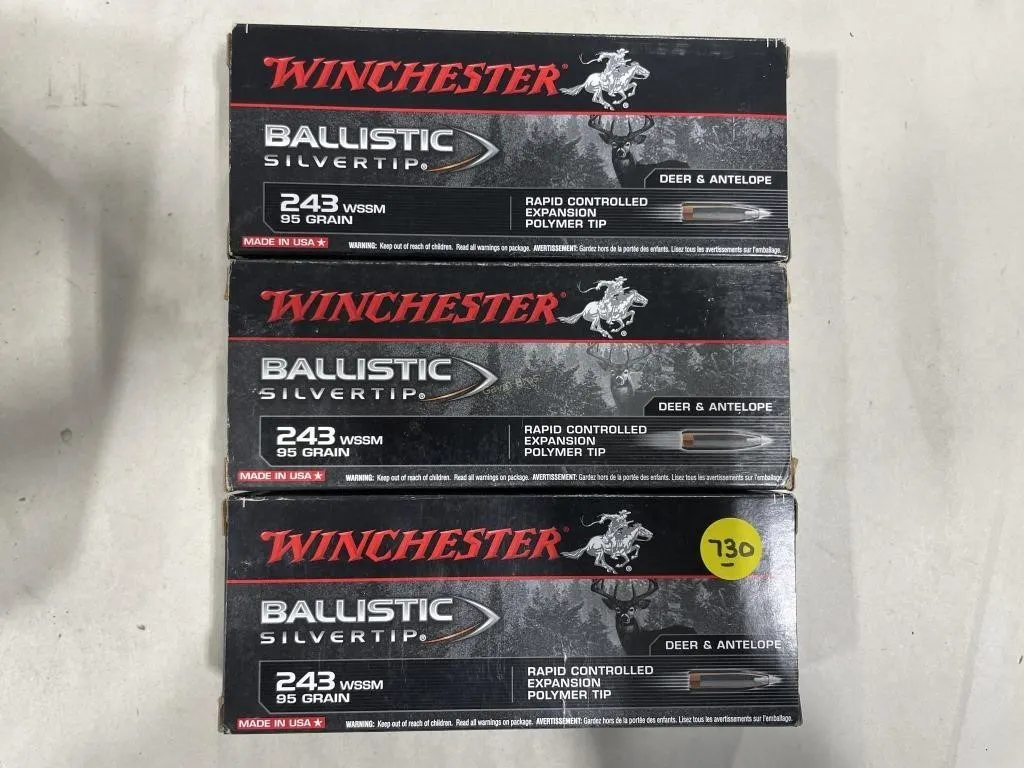60-Rds Winchester 243 WSSM 95 Grain