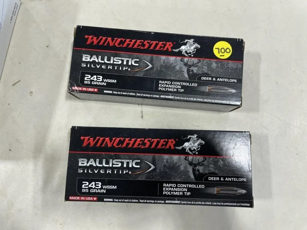 40-Rds Winchester 243 WSSM 95 Grain