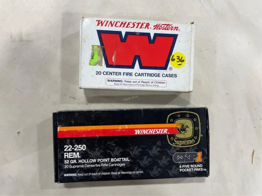40-Rds Winchester 22-250 REM