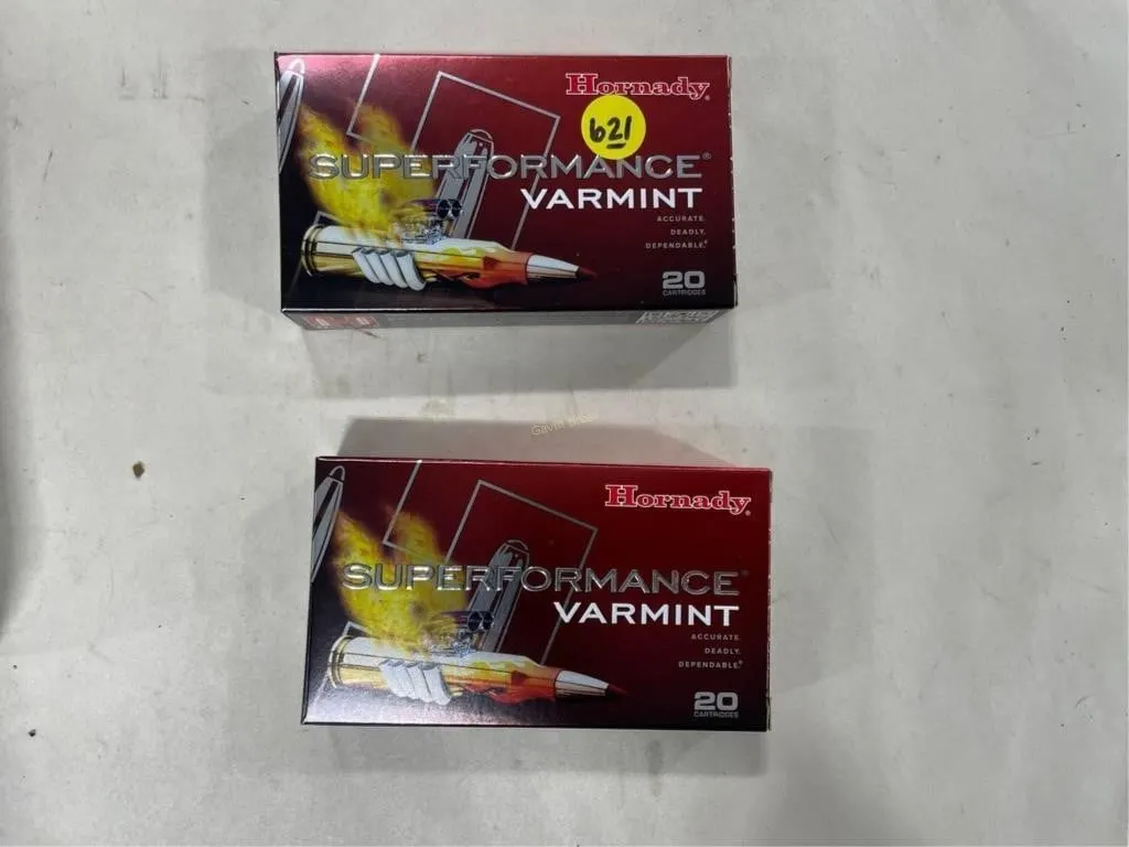 40-Rds Hornady 243 WIN- 58 grain