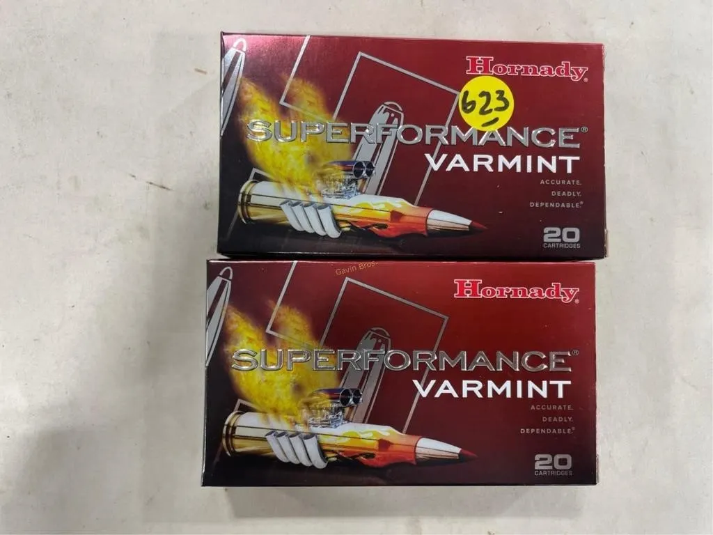 40-Rds Hornady 243 WIN- 58 grain