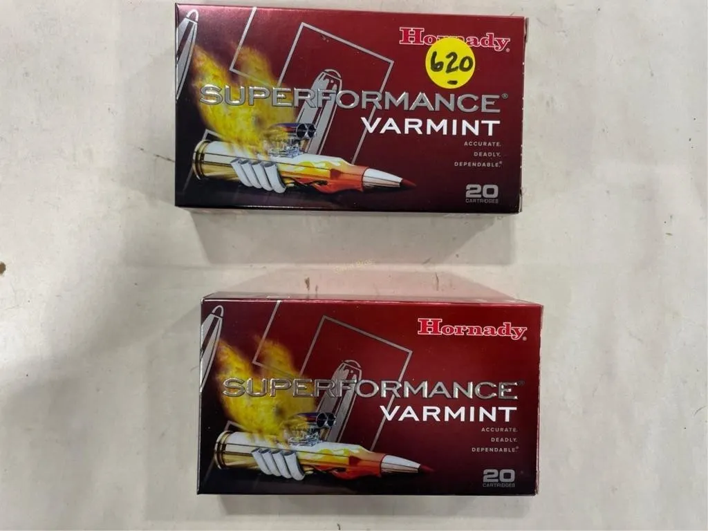 40-Rds Hornady 243 WIN- 58 grain