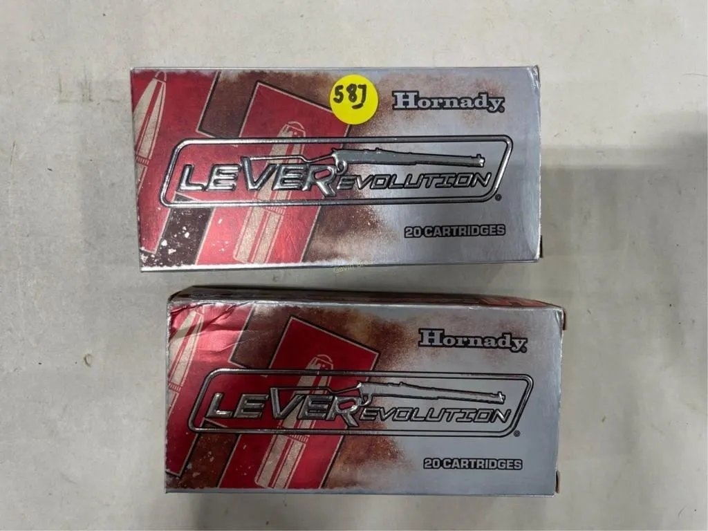 40-Rds Hornady 45-70 Govt 325 Grain
