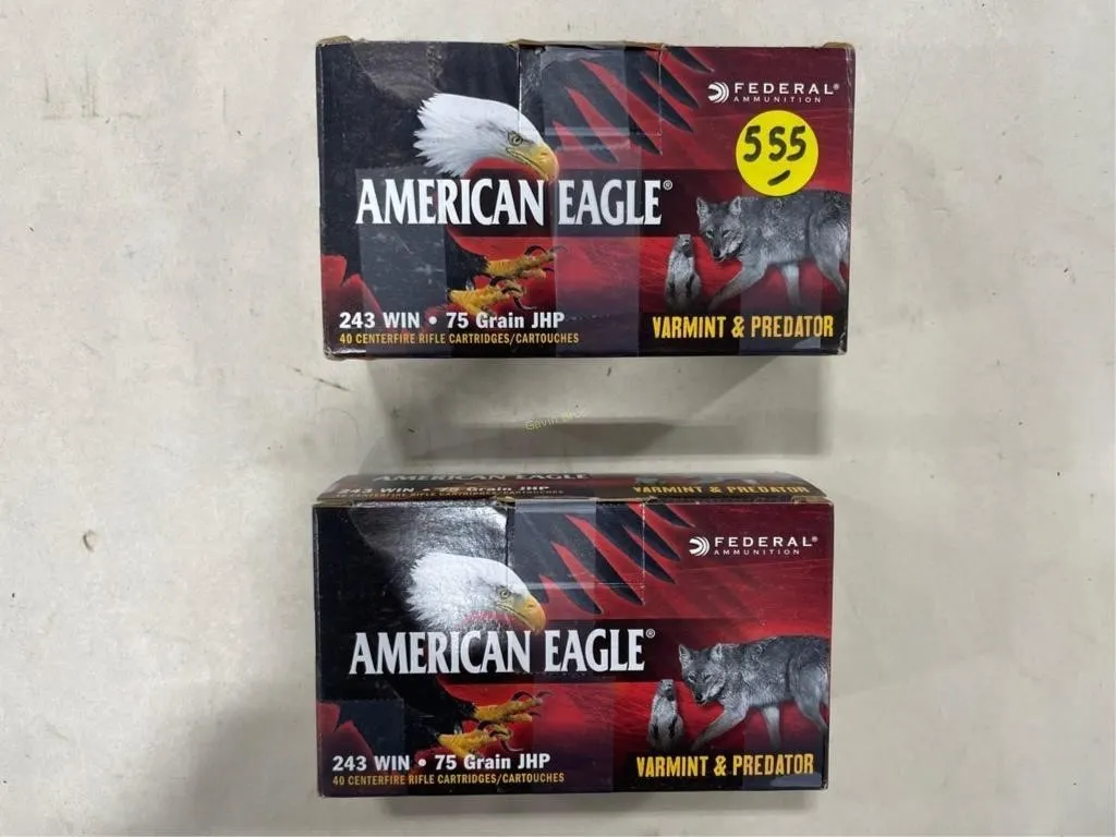 80 Rds Federal Am Eagle 243 WIN 75 Grain