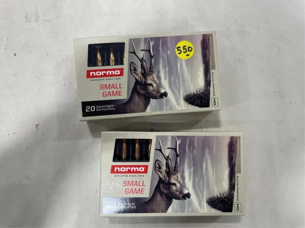 40-Rds Norma 243 WIN 76 Grain