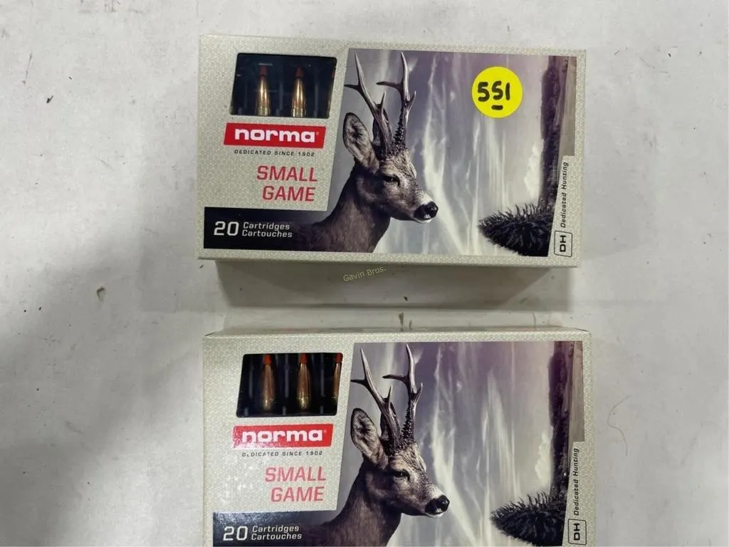 40-Rds Norma 243 WIN 76 Grain