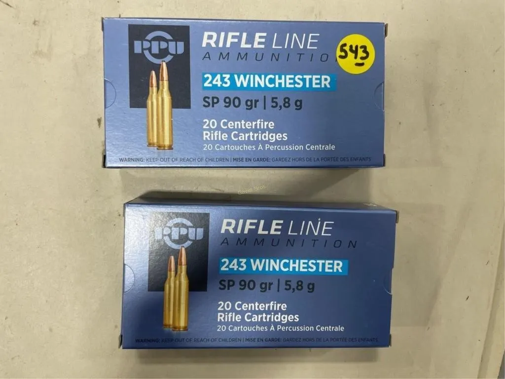 40-Rds Rifleline 243 WIN 90 Grain