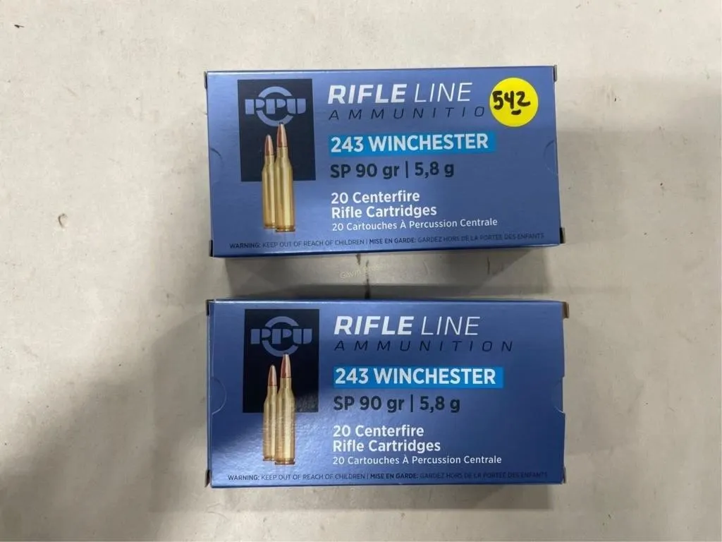 40-Rds Rifleline 243 WIN 90 Grain