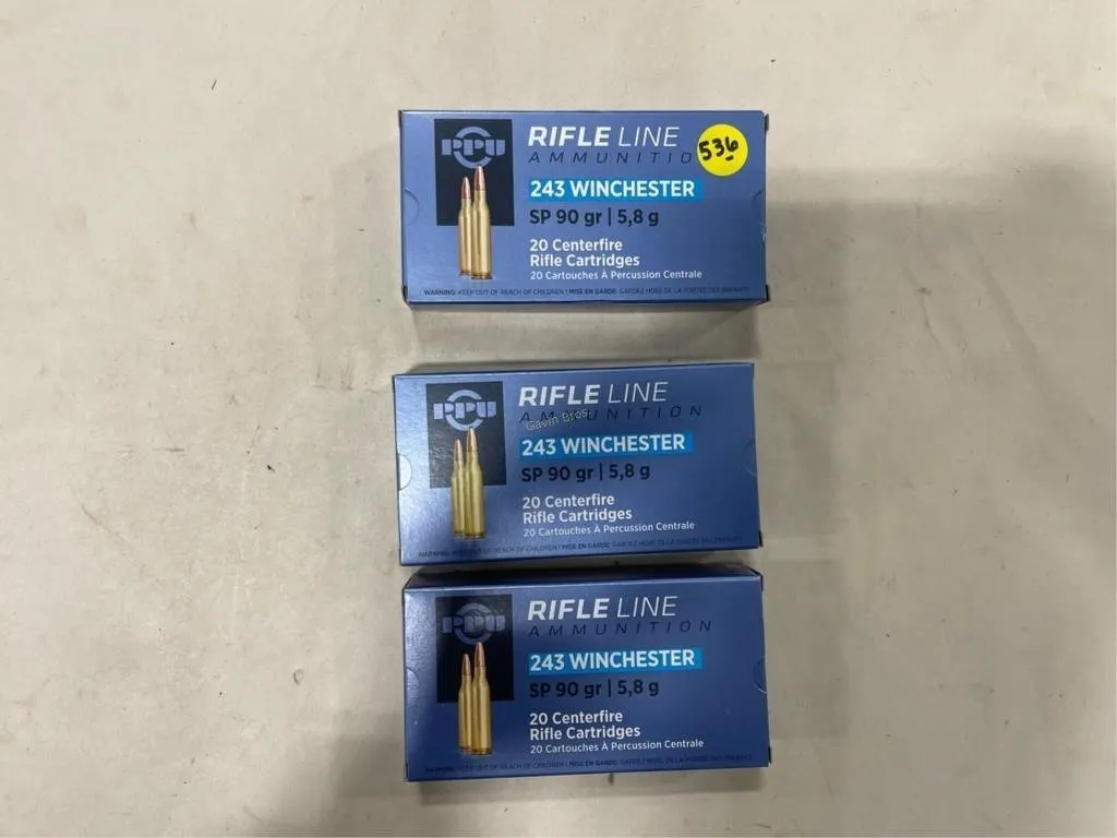60-Rds Rifleline 243 WIN 90 Grain