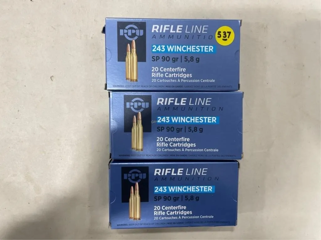 60-Rds Rifleline 243 WIN 90 Grain