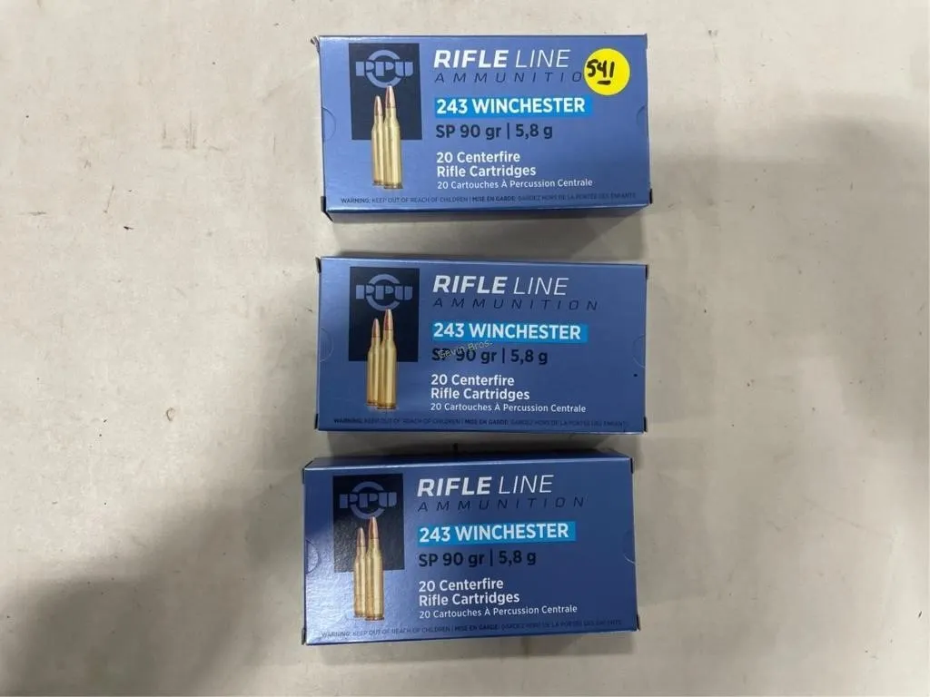 60-Rds Rifleline 243 WIN 90 Grain