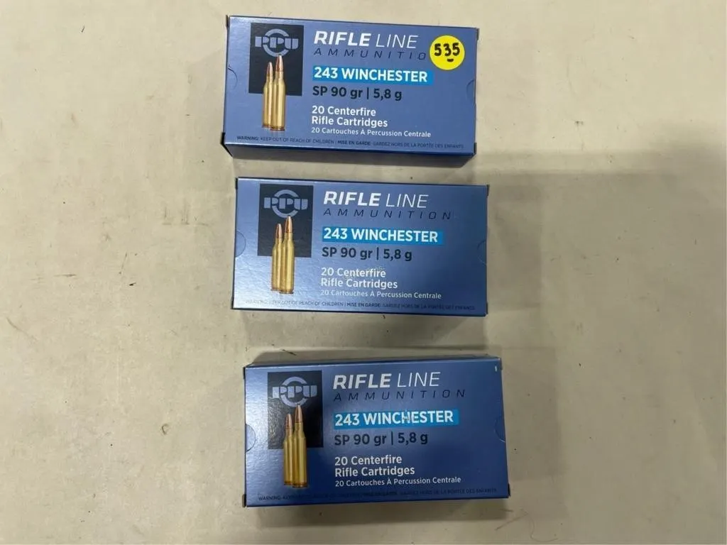 60-Rds Rifleline 243 WIN 90 Grain