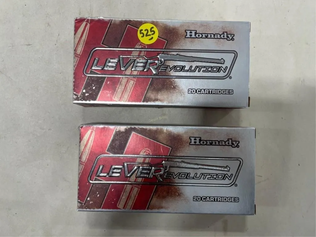 40-Rds Hornady 45-70 Govt 325 Grain