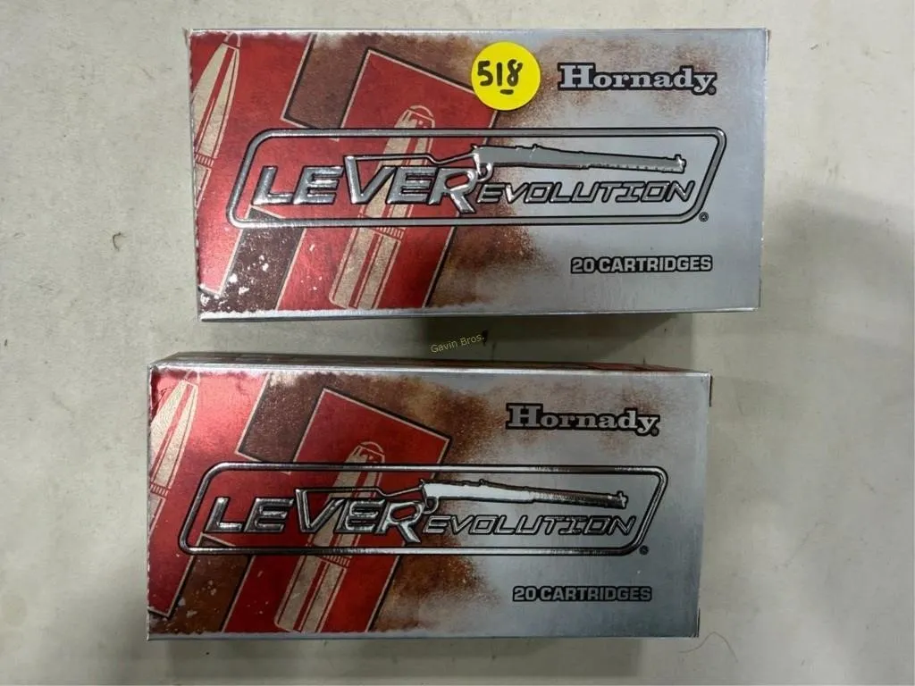 40-Rds Hornady 45-70 Govt 325 Grain