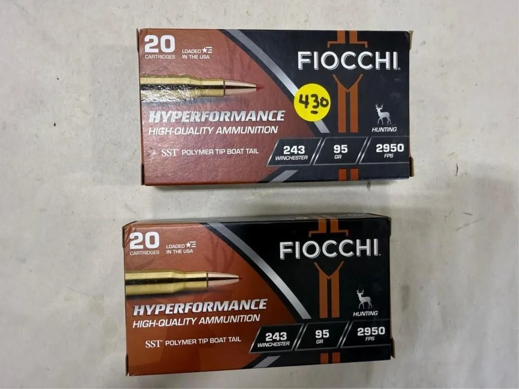 40-Rds Fiocchi 243 WIN 95 Grain