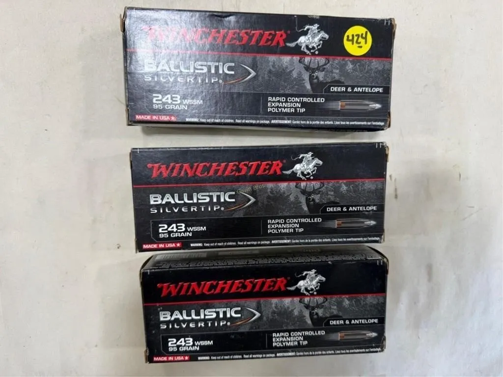 60-Rds Winchester 243 WSSM-95 Grain
