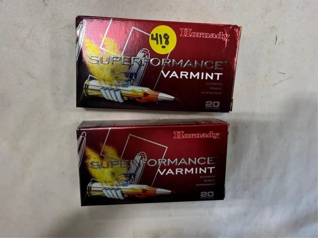 40-Rds Hornady 204 RUGER 24 Grain