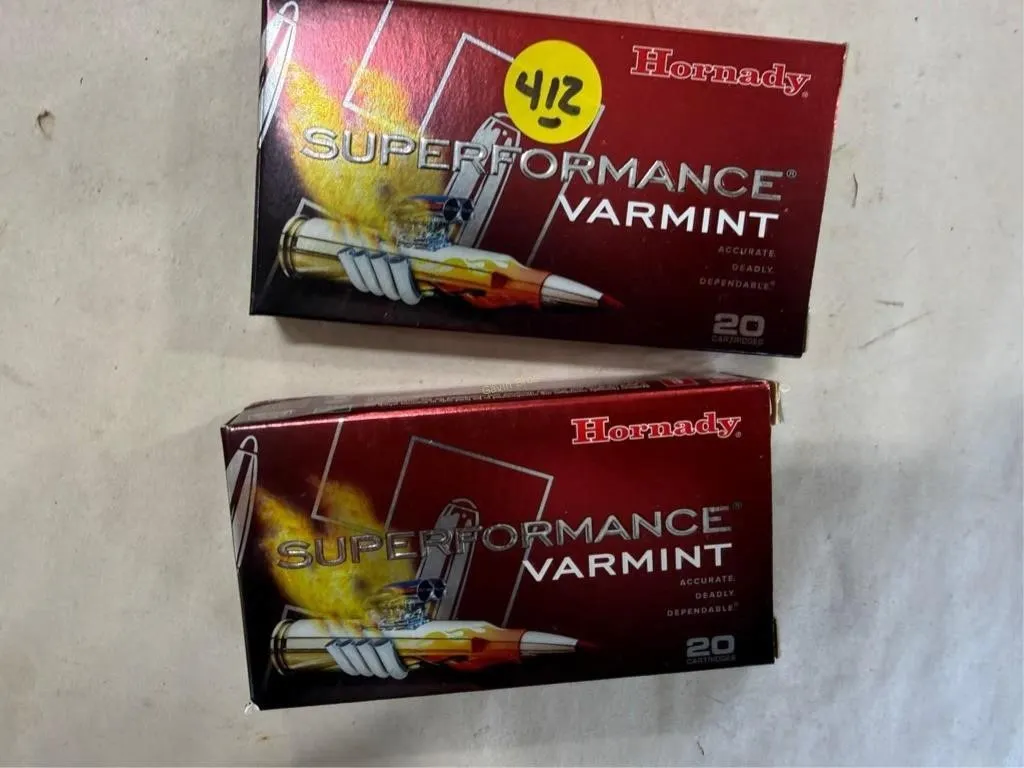 40-Rds Hornady 204 RUGER 24 Grain