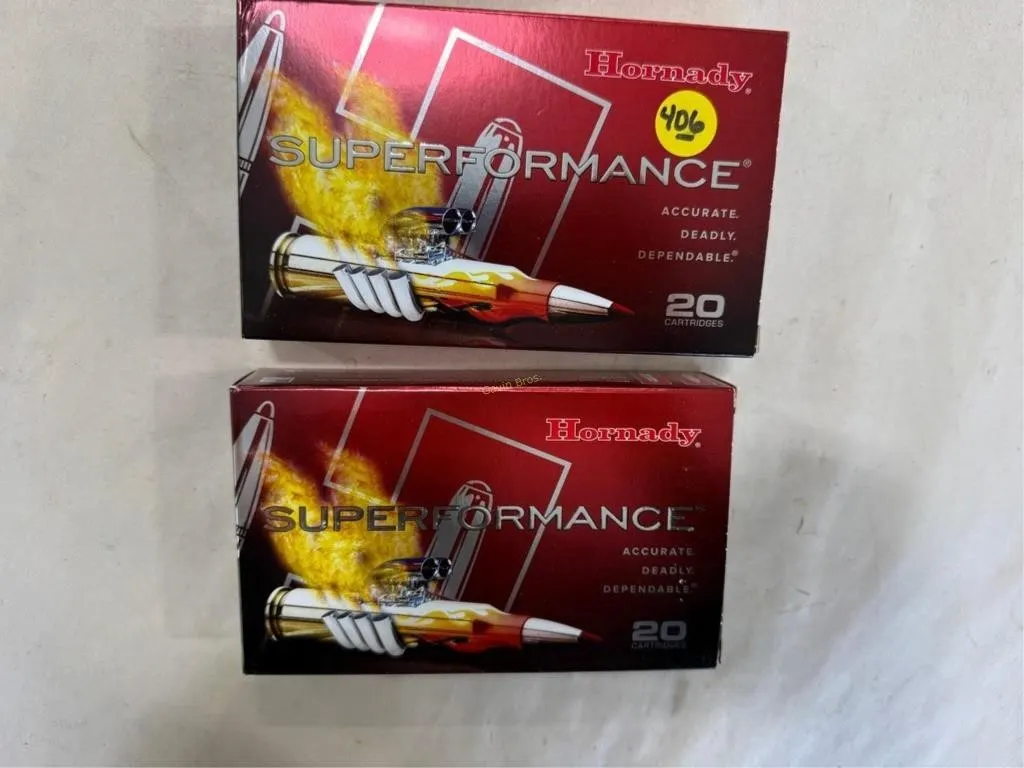 40-Rds Hornady 338 WIN MAG-225 Grain