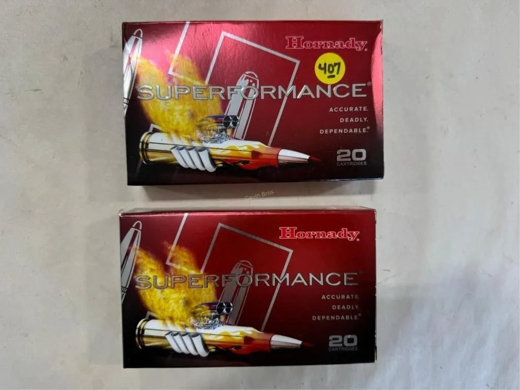 40-Rds Hornady 338 WIN MAG-225 Grain